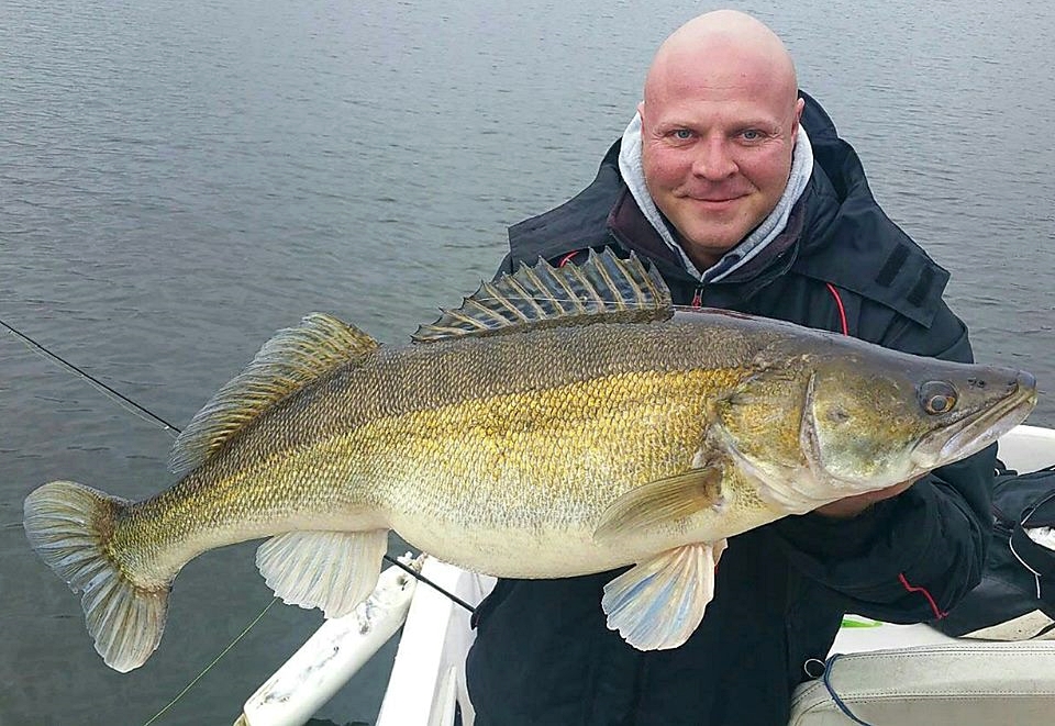 Zander in der Müritz angeln
