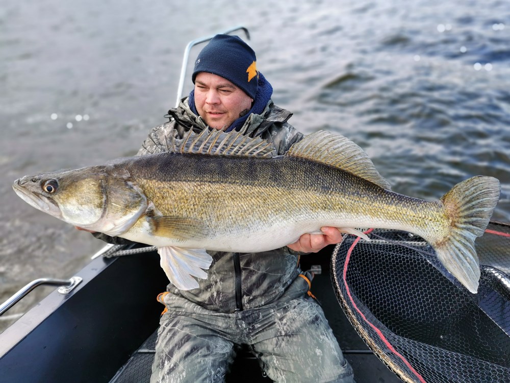 Guiding: Große Zander